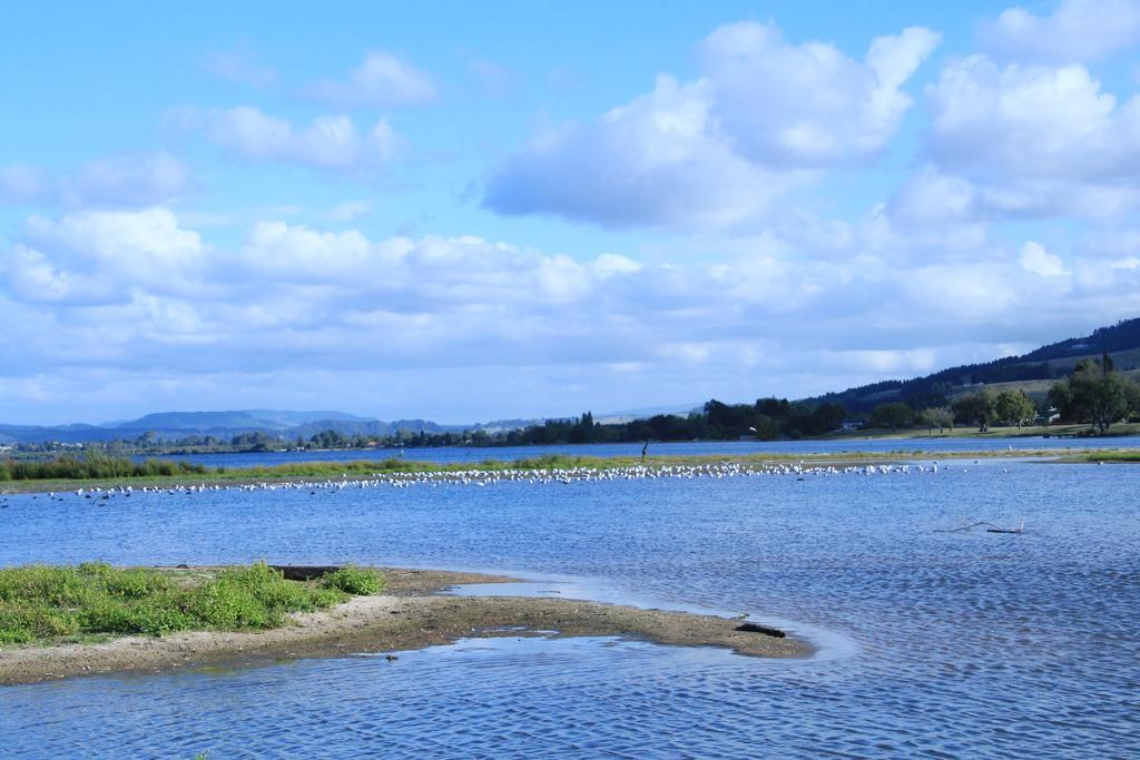 Lakeview Small Studio Rotorua Buitenkant foto